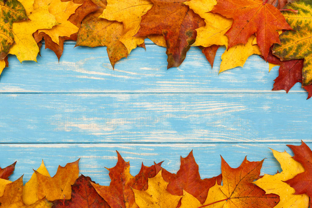 秋のカエデの葉が青い木製の比較に - 写真・画像