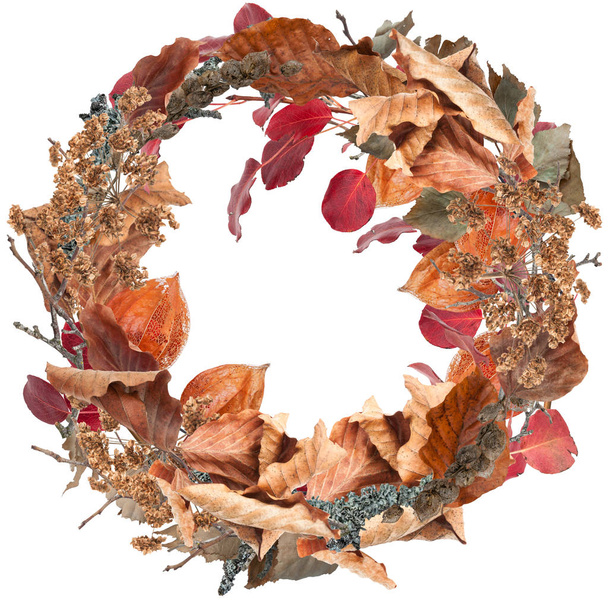 Red autumn leaves wreath isolated on white - Foto, Imagen
