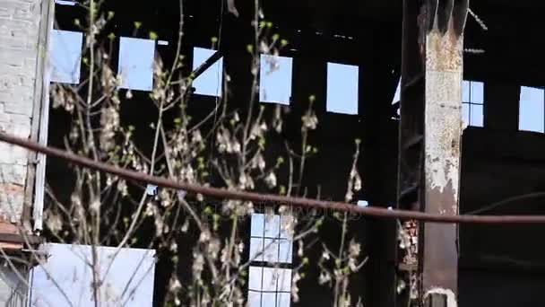 Ruins Of The Destroyed Building Or Premises - Filmmaterial, Video