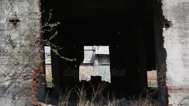 Ruins Of The Destroyed Building Or Premises - Footage, Video