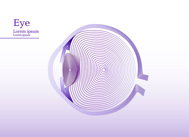 Abstraktní obrázek lila anatomické lidského oka - Vektor, obrázek