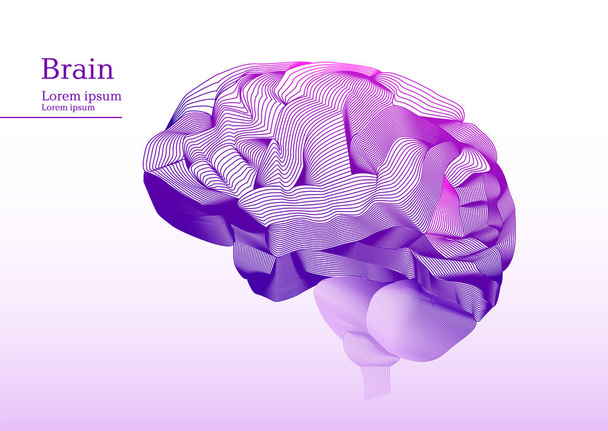 解剖学人間の脳の抽象的なピンク イラスト - ベクター画像