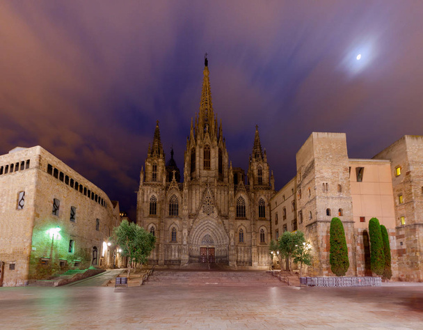 Barcelona. The Cathedral at dawn. - Valokuva, kuva