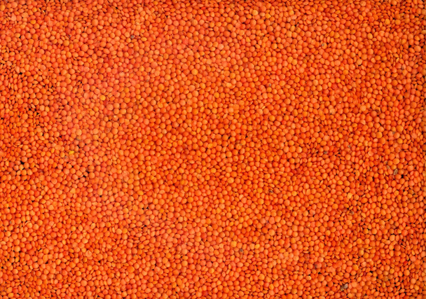 Hintergrund der roten Linsenfrüchte - Foto, Bild