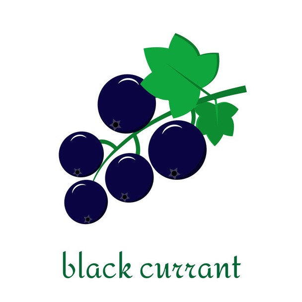 Black currant icon in flat style isolated on white background. - Vektor, kép