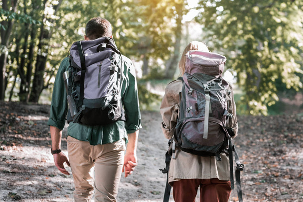 Giovane coppia escursioni nella foresta con zaini
 - Foto, immagini
