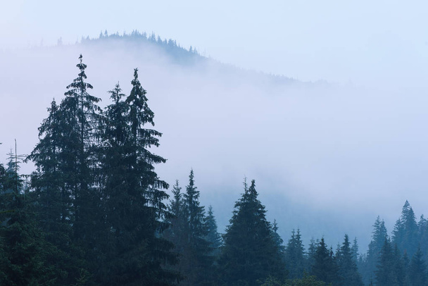 Misty mountain landscape - Фото, изображение