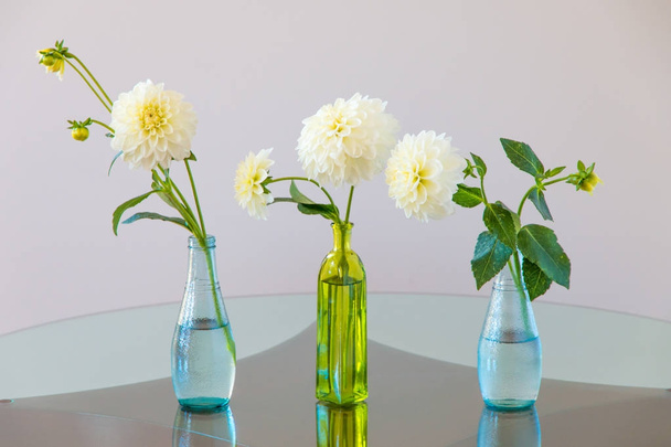 Set witte dahlia bloemen in glazen vazen. - Foto, afbeelding