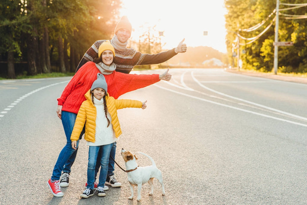 Bezstarostný uvolněné přátelské rodinné chůze na silnici v přírodě se psem, zvýšit palce s radosti, nosit teplé oblečení a sportovní boty mají dlouhou cestu. Mladé rodiny gesta jako má volný čas - Fotografie, Obrázek