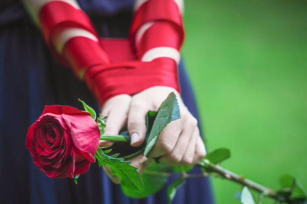 női kezek tartani a rózsa - Fotó, kép