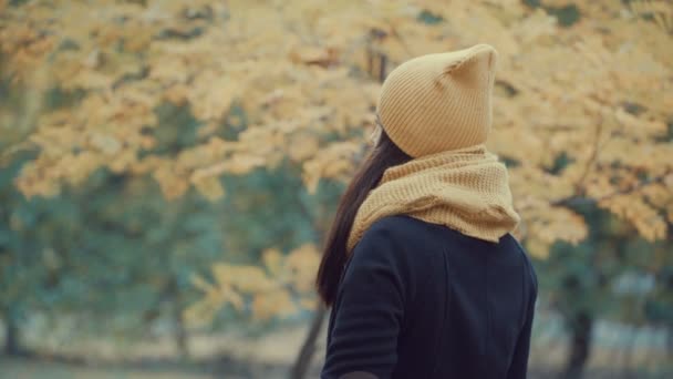 egy gyönyörű lány, egy parkban, az őszi portréja. - Felvétel, videó