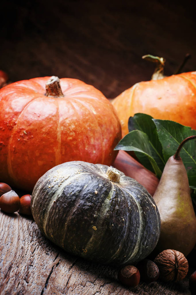 Autumn still life with pumpkins  - Foto, Imagem