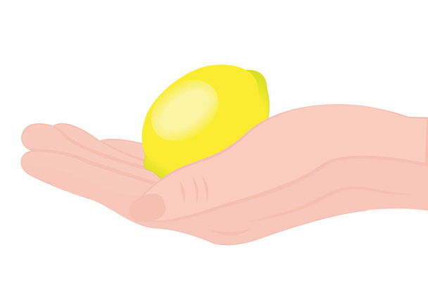 Lemon in a hand - Vector, Image