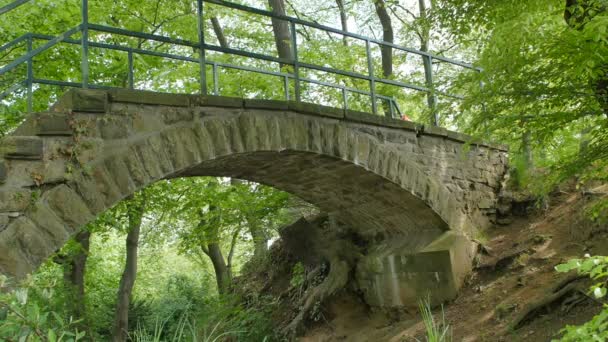A régi köves híd, hegyi patak zöld erdő - Felvétel, videó