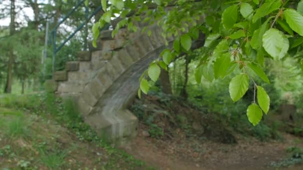 Vanha kivinen silta vuoristo stream lähtee metsässä
 - Materiaali, video