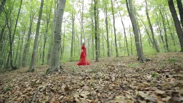 Mooi meisje lopen in het bos - Video