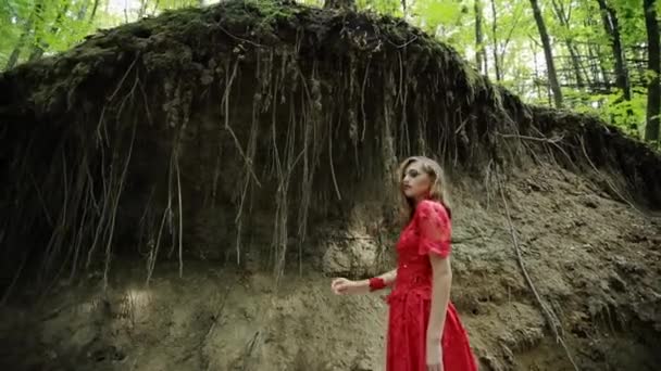 Mooie vrouw verkent prachtige bos - Video