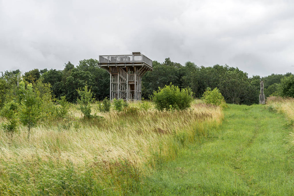 Torre de observación de madera
 - Foto, Imagen