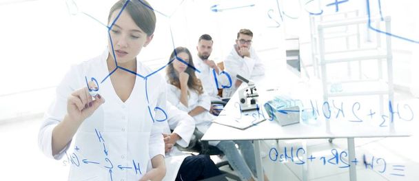 view through the transparent Board. female scientist makes a report to colleagues - Foto, Imagem
