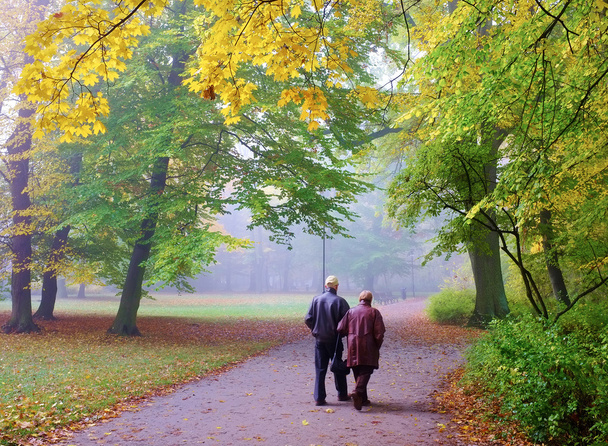 Senior couple in the park - Фото, изображение
