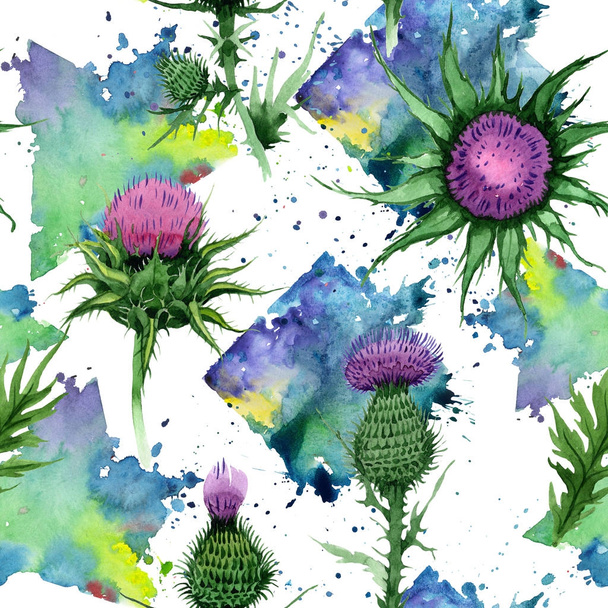 Wildflower budyak flower pattern in a watercolor style. - Фото, зображення
