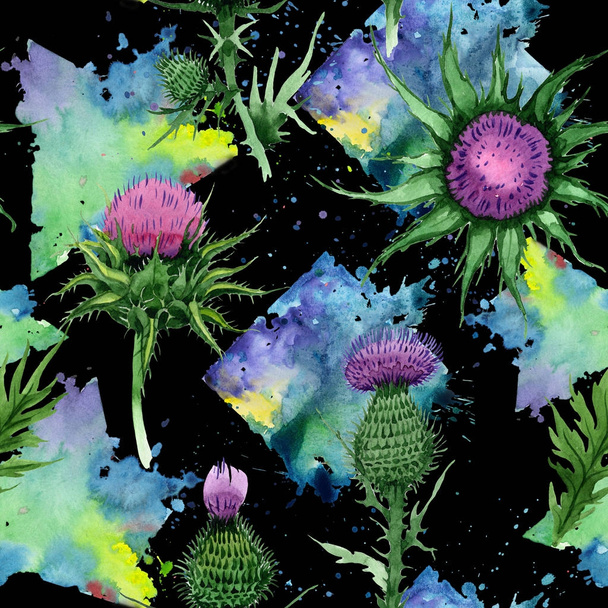 Wildflower budyak flower pattern in a watercolor style. - Фото, изображение
