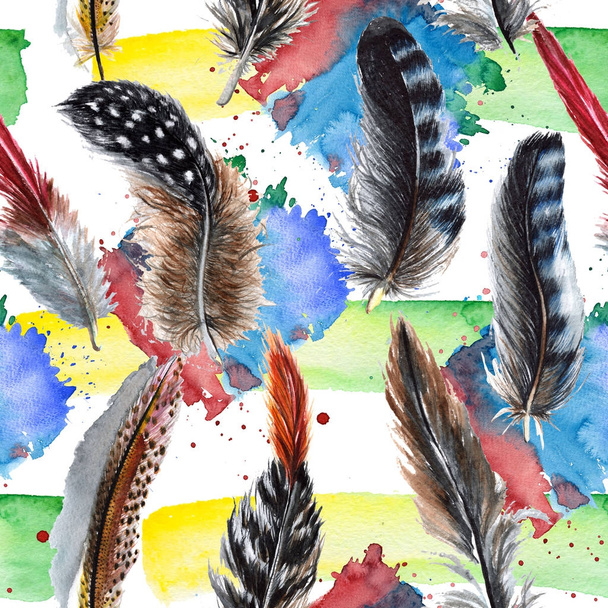 Watercolor bird feather pattern from wing. - Fotoğraf, Görsel