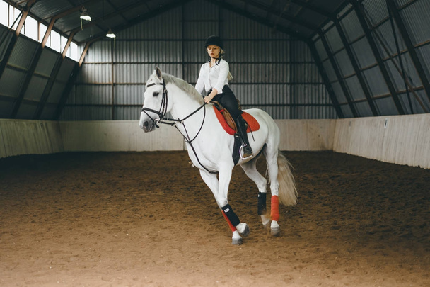 Girl in outfit riding horse  - Fotoğraf, Görsel