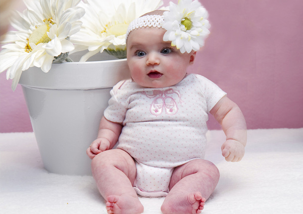 Precious Baby par Flower Pot of Daisies
 - Photo, image