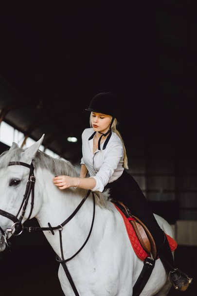Girl taking care of horse  - Φωτογραφία, εικόνα