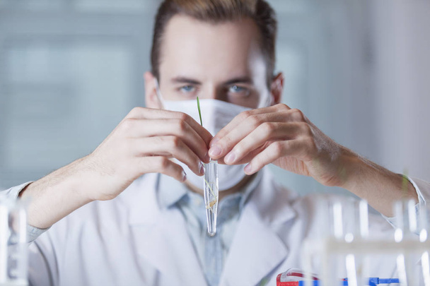 scientist holding test tube - Фото, зображення