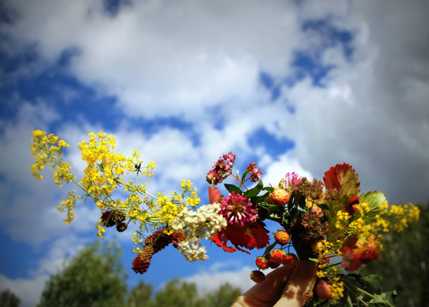 Flores no céu
 - Foto, Imagem