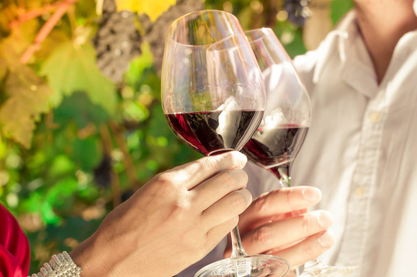 Vintner couple clinking wine glasses in vineyard - Photo, Image
