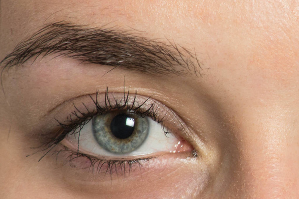 Eyebrow before correction - Valokuva, kuva