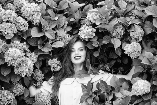 pretty smiling girl in hydrangea flowers - Φωτογραφία, εικόνα