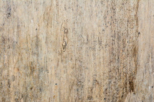 wood texture very old oak, the rough wood is not uniform - Valokuva, kuva