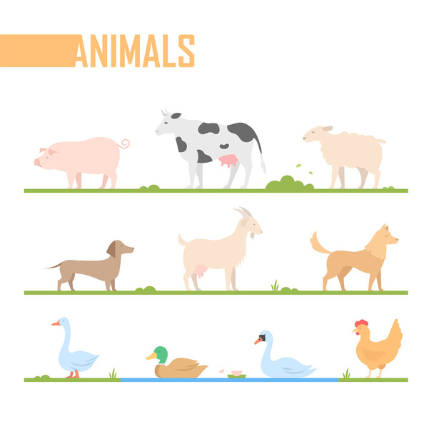Çiftlik hayvanları - modern vektör izole karikatür çizim seti - Vektör, Görsel