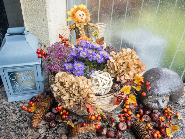 Sonbahar dekorasyon için açık - Fotoğraf, Görsel