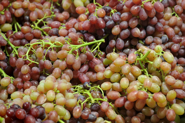  bancos de uva maduros
 - Foto, imagen