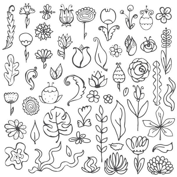 Black and white vector fantasy flowers and leaves set. Hand drawn doodle illustration - Vetor, Imagem