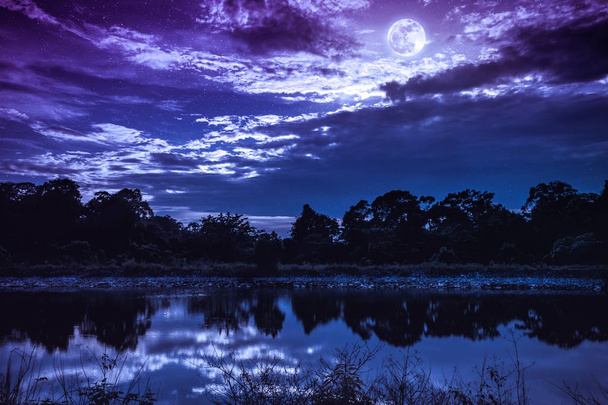 Cielo con muchas estrellas y luna llena sobre siluetas de árboles y lago
. - Foto, Imagen