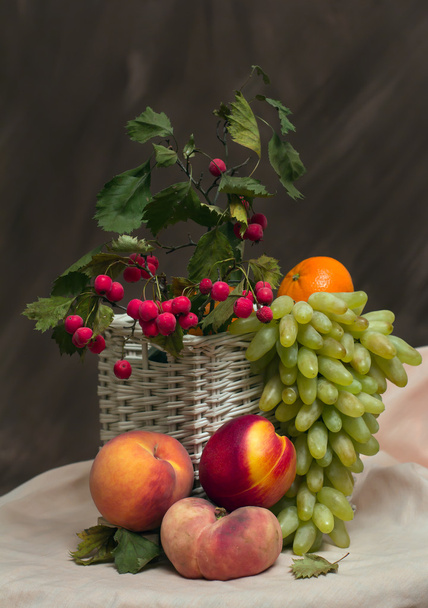 Fruit on a dark background - 写真・画像