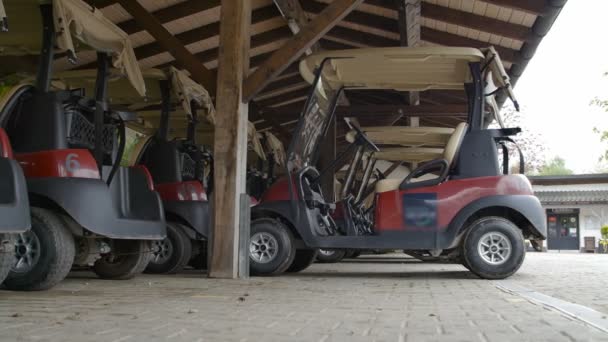 Golfautókat, fából készült fedett helyen parkolt - Felvétel, videó