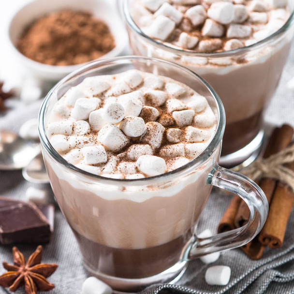 Hot chocolate or cocoa with marshmallow. - Fotografie, Obrázek