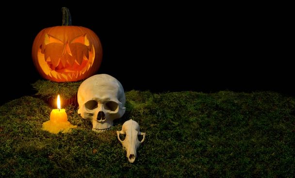 Cadılar Bayramı Balkabağı, insan kafatası, hayvan kafatası ve mum glowin - Fotoğraf, Görsel