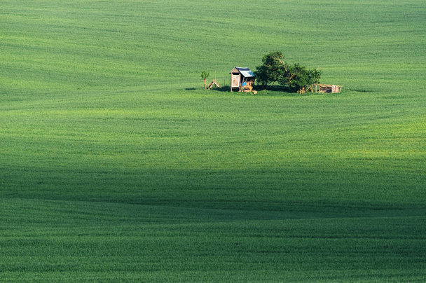 南モラヴィア州、チェコ共和国のフィールドを圧延 - 写真・画像