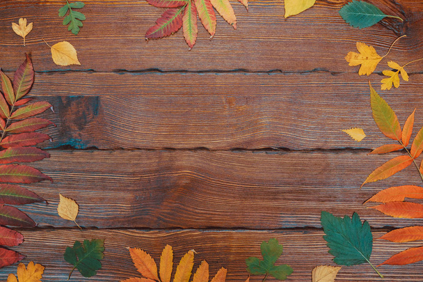 Рамка осенней листвы
  - Фото, изображение