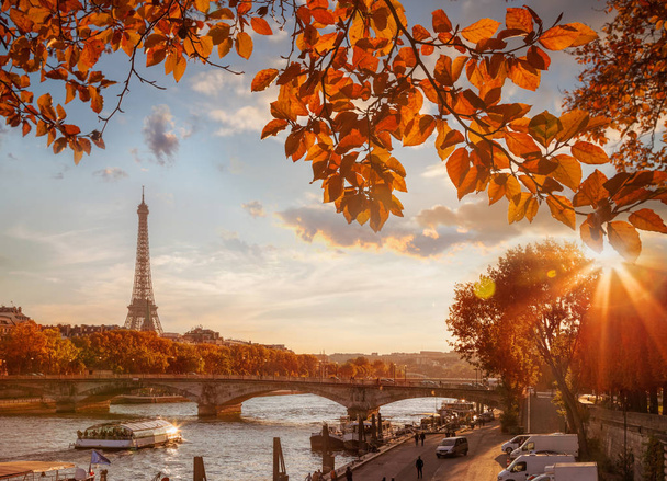 Paříž s Eiffelovou věží proti podzimním listům ve Francii - Fotografie, Obrázek