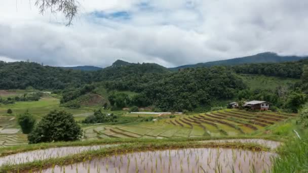 Časová prodleva bílých mraků nad rýžové terasy. - Záběry, video