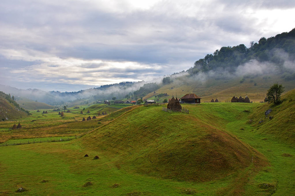 mountain landscape in summer morning, Romania, Fundatura Ponorului - Foto, imagen